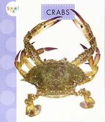 Crabs