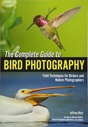 The Complete Guide To Bird Photography