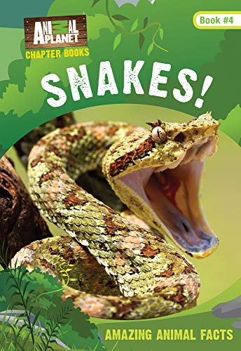 Snakes!: Book #4