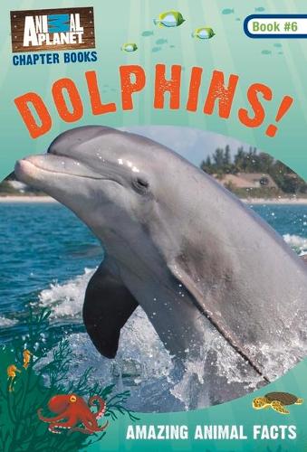 Dolphins!