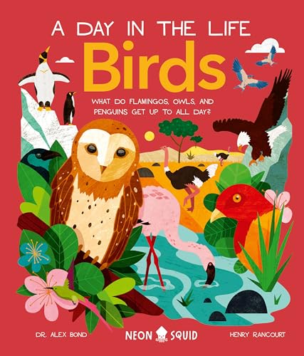 Birds (a Day in the Life)