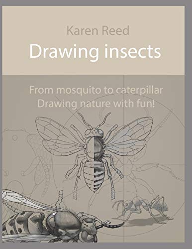 Drawing insects