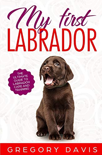 My First Labrador