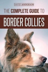 The Complete Guide to Border Collies