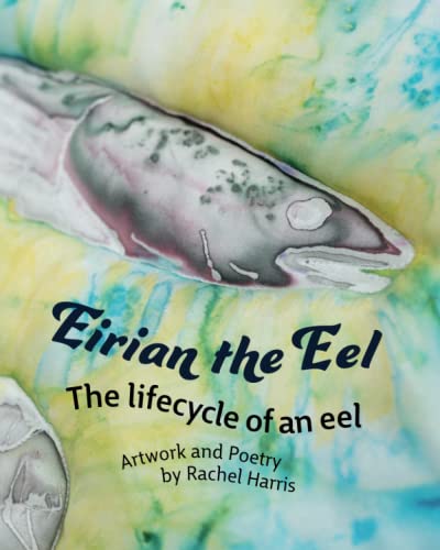 Eirian the Eel: The lifecycle of an eel