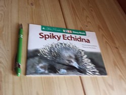 Spiky Echidna