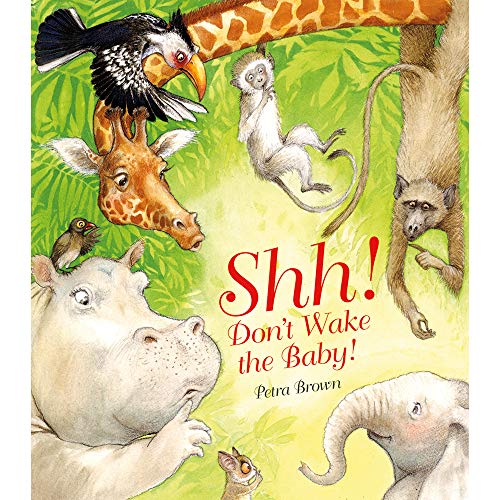 Shh! Don't Wake the Baby! (downspec)
