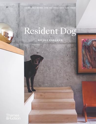 Resident Dog