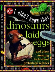 Dinosaurs Laid Eggs