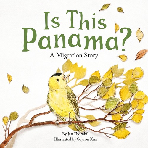 Is This Panama? A Migration Story