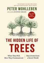 The Hidden Life of Trees