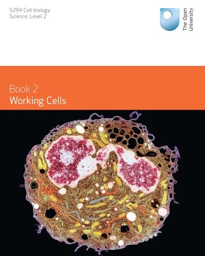 Working Cells S294: 2