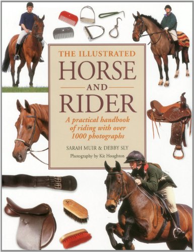 Illustrated Horse and Rider