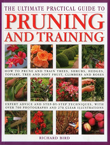 Ultimate Practical Guide to Pruning and Training