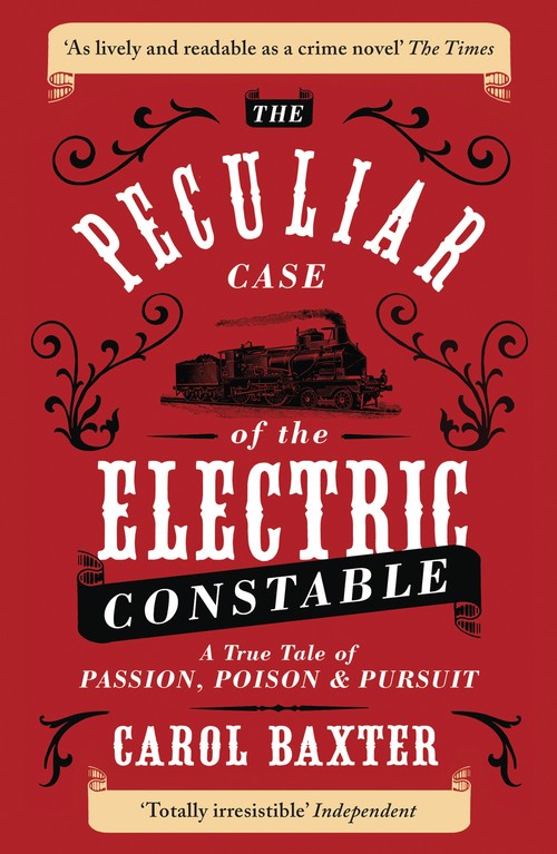 The Peculiar Case of the Electric Constable