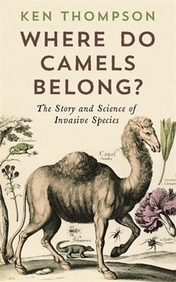 Where Do Camels Belong?