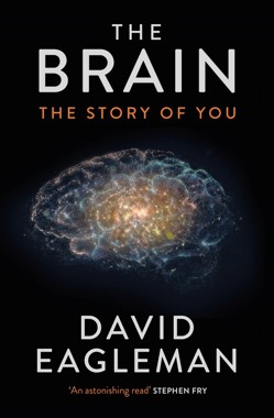 The Brain
