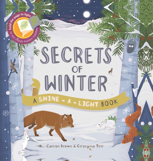Shine A Light Secrets of Winter