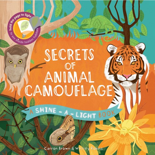 Shine a Light: Secrets of Animal Camouflage
