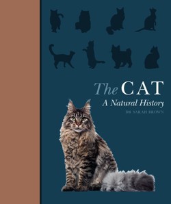 The Cat