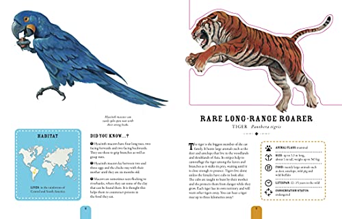 Paperscapes: The Amazing World of Animals