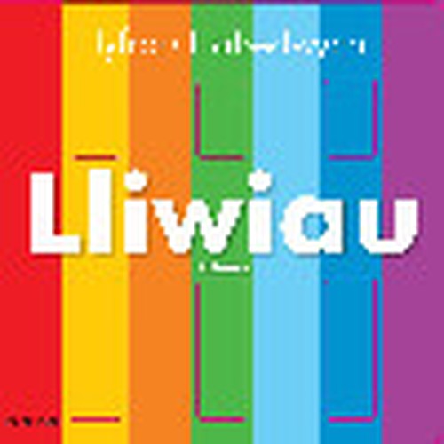 Llyfrau Llabedwych: Lliwiau/Colours