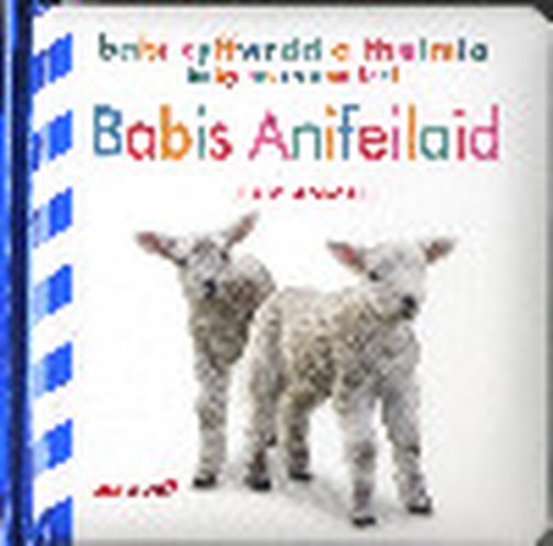 Babi Cyffwrdd a Theimlo: Babis Anifeiliaid / Baby Touch and Feel: Baby Animals