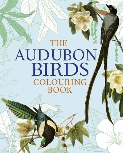 Audubon Birds Colouring Book, the