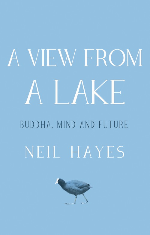 A View From A Lake