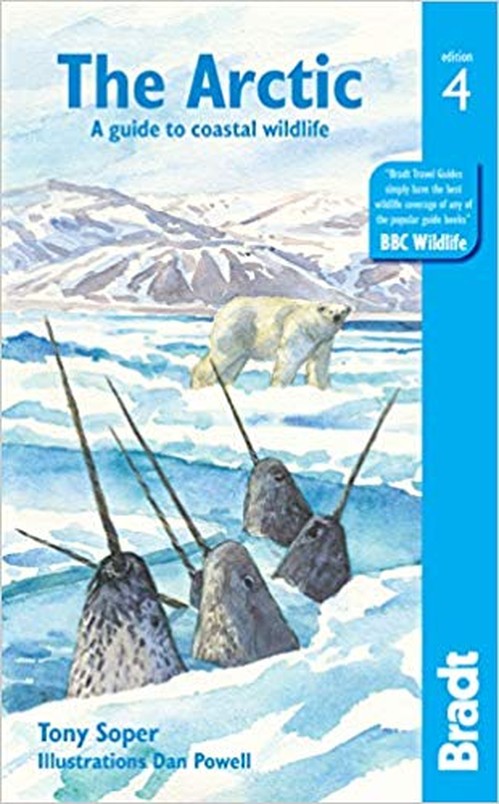 The Arctic