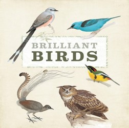 Brilliant Birds