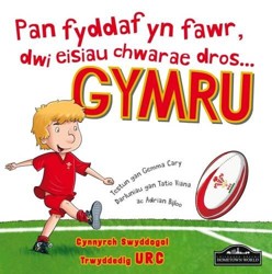 When I Grow Up I'm Going to Play for Wales Gymru