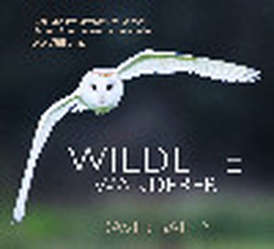 Wildlife Wanderer