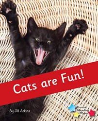 Cats are Fun!