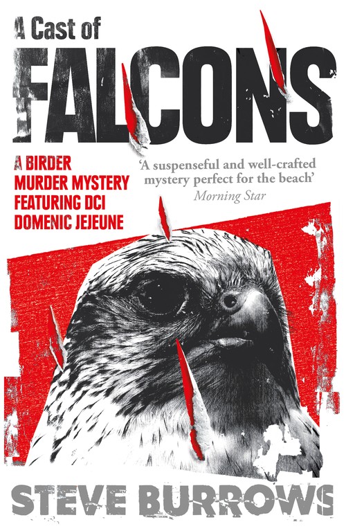 A Cast of Falcons