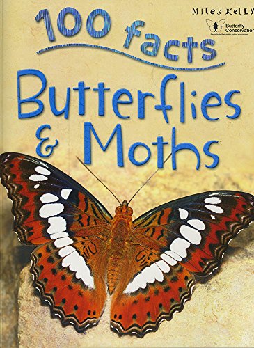 Butterflies and Moths