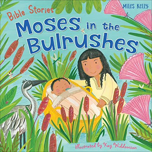 Bible Stories: Moses in the Bulrushes
