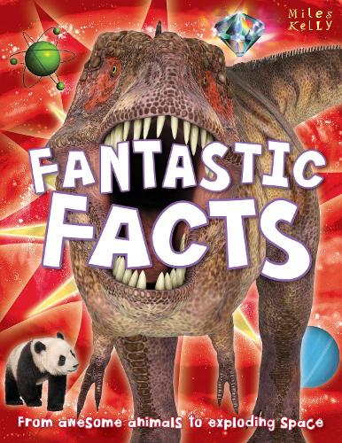 B384 Fantastic Facts