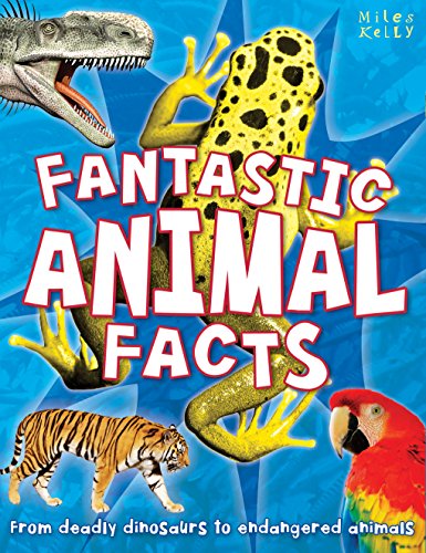 B384FL Fantastic Animal Facts