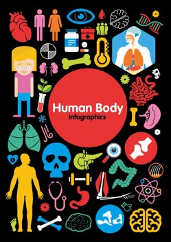 The Human Body