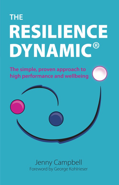 The Resilience Dynamic
