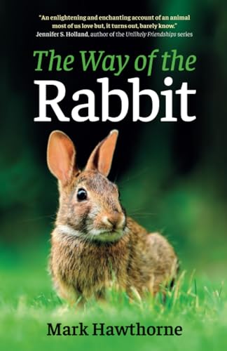 The Way of the Rabbit, The