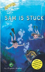 Sam Is Stuck