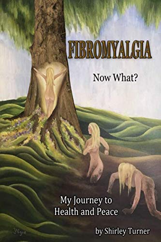 Fibromyalgia - Now What? My Journey to Health and Peace