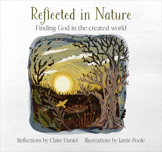 Reflected in Nature