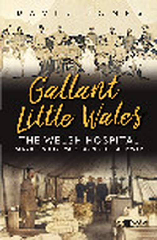 Gallant Little Wales