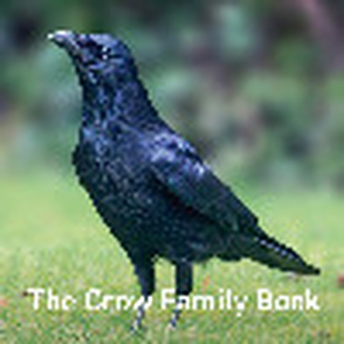 Nature Book Series: The Crow Family Book