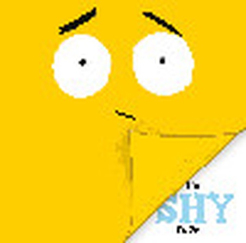 The Shy Book