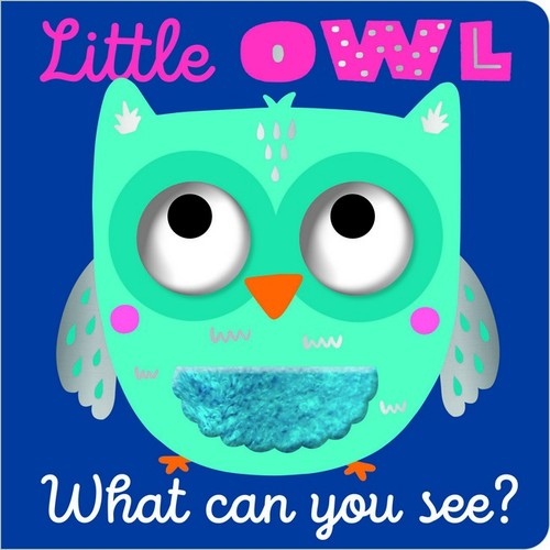 Little Owl What Can You See?