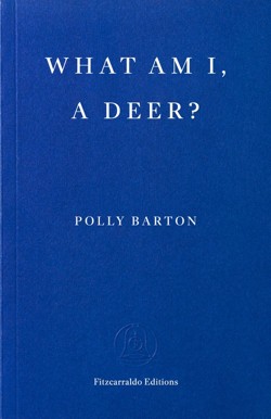 What Am I, A Deer?